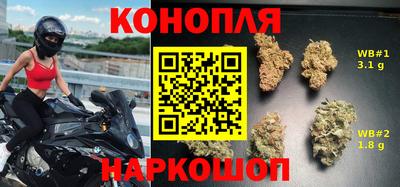 гидра Рыбинск
